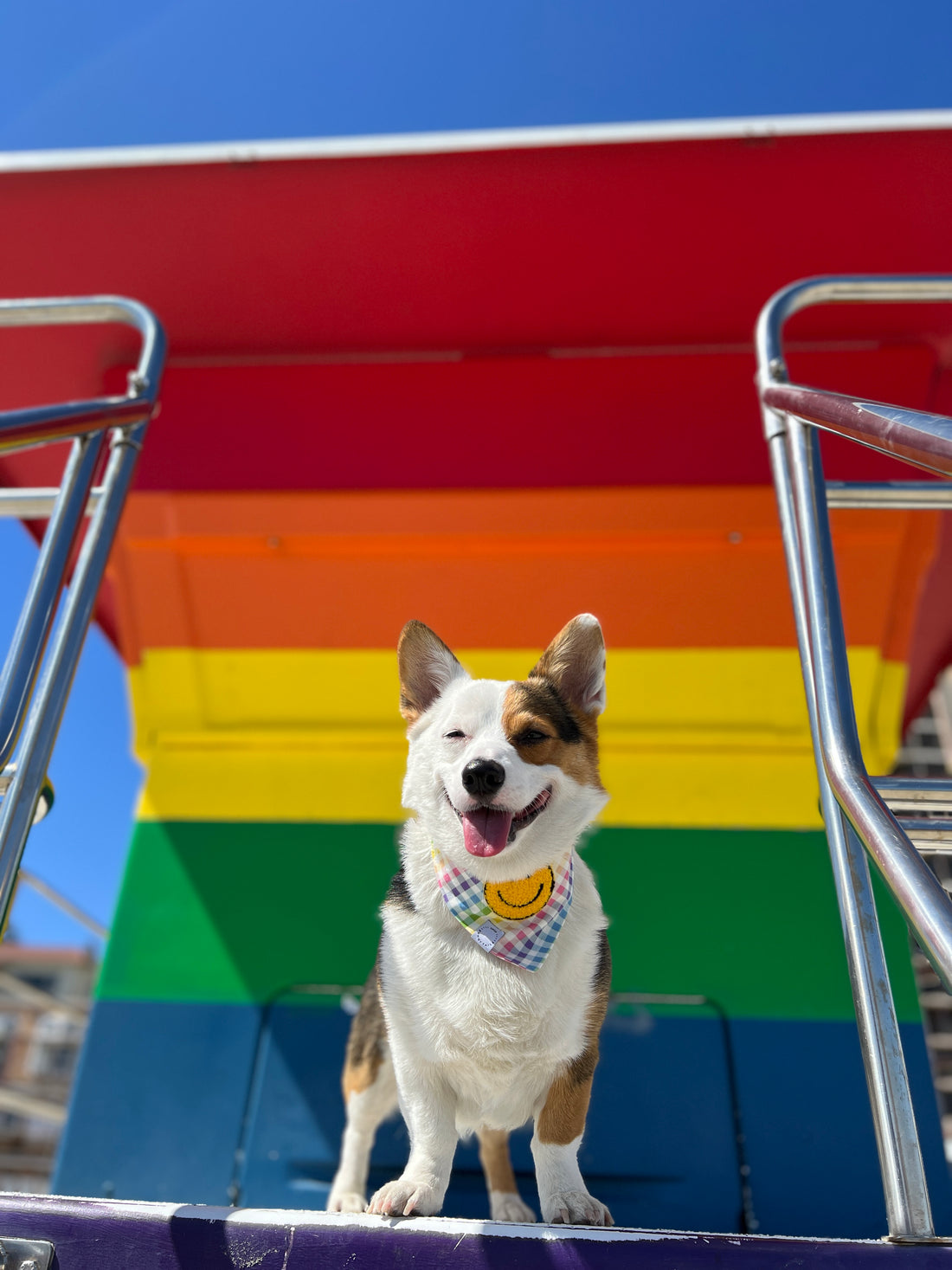 Rainbow Smiles Dog Bandana