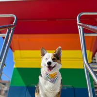 Rainbow Smiles Dog Bandana