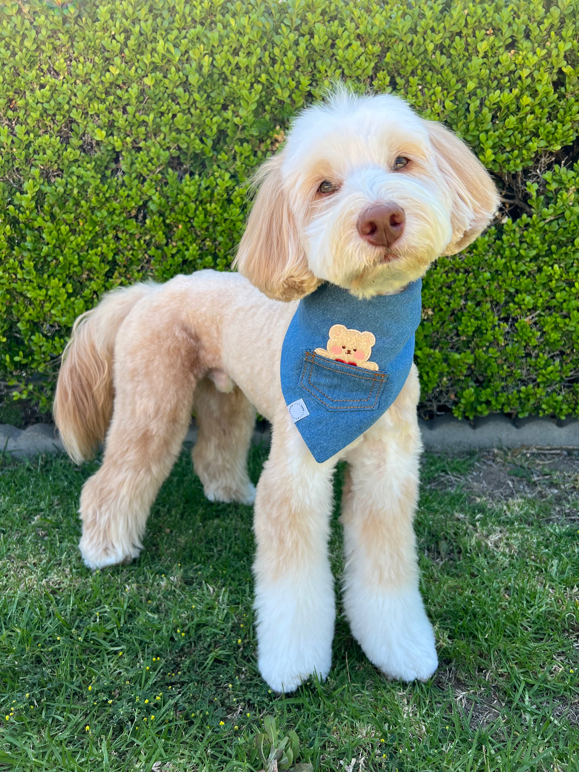 Pocket Teddy Indigo Denim Dog Bandana - Beige