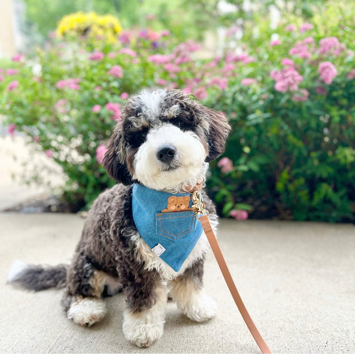 Pocket Teddy Indigo Denim Dog Bandana - Brown - SUNNY TAILS