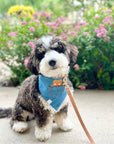 Pocket Teddy Indigo Denim Dog Bandana - Brown - SUNNY TAILS