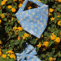 Denim & Daisies Dog Bandana