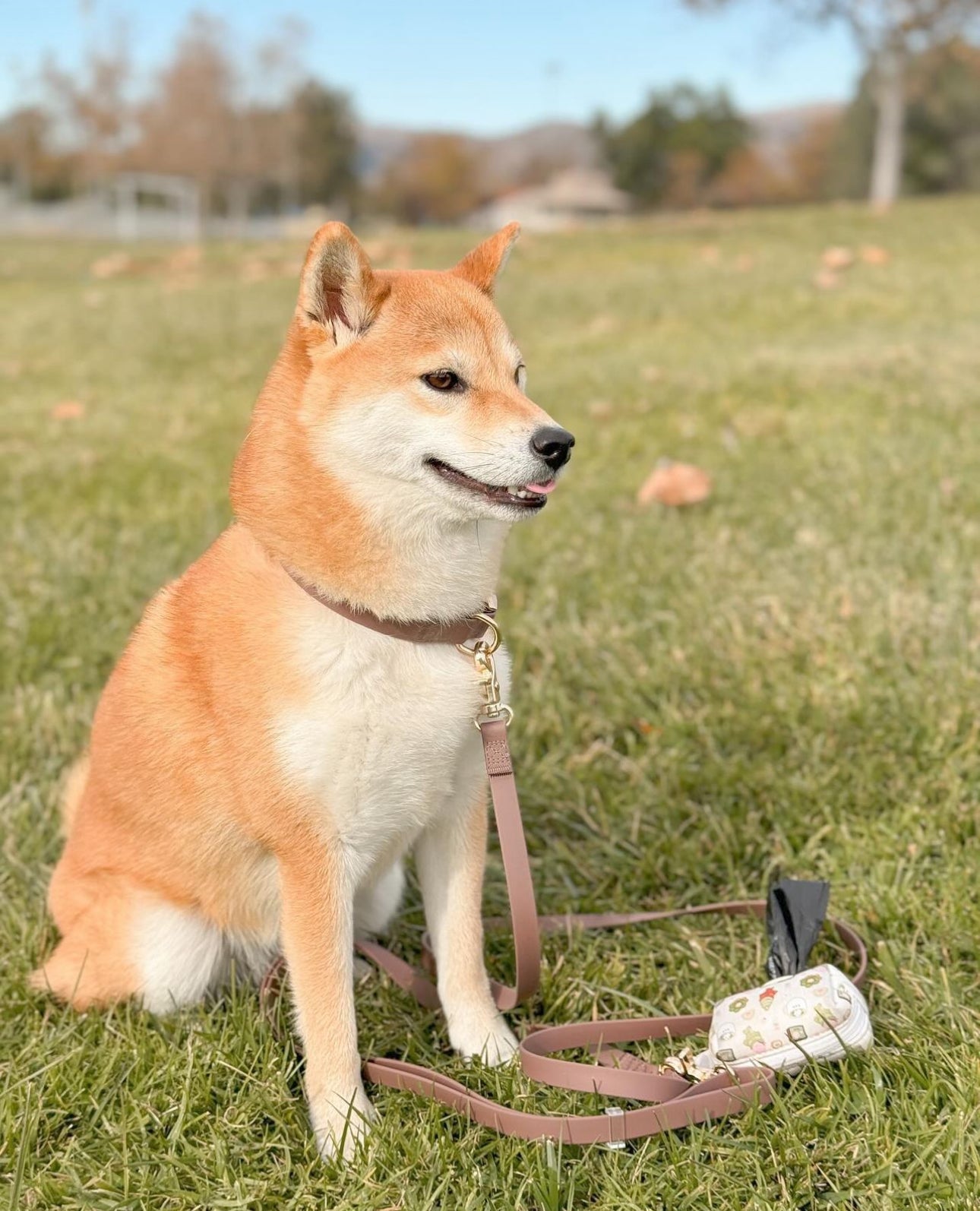 Cloud Convertible Leash Extension Bundle - SUNNY TAILS