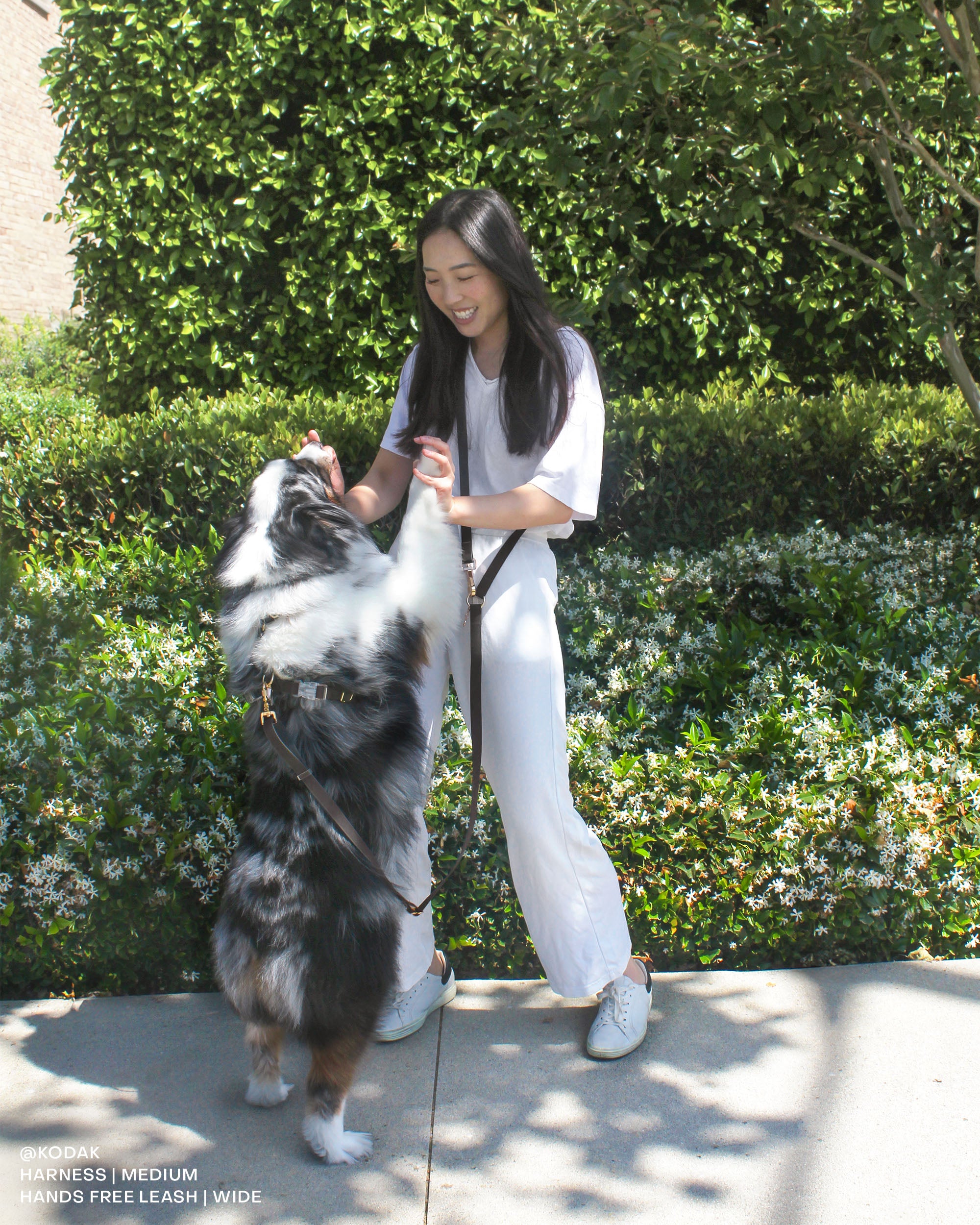 Ember Black Convertible Hands Free Cloud Dog Leah With Heavy Duty Twist Lock Clip