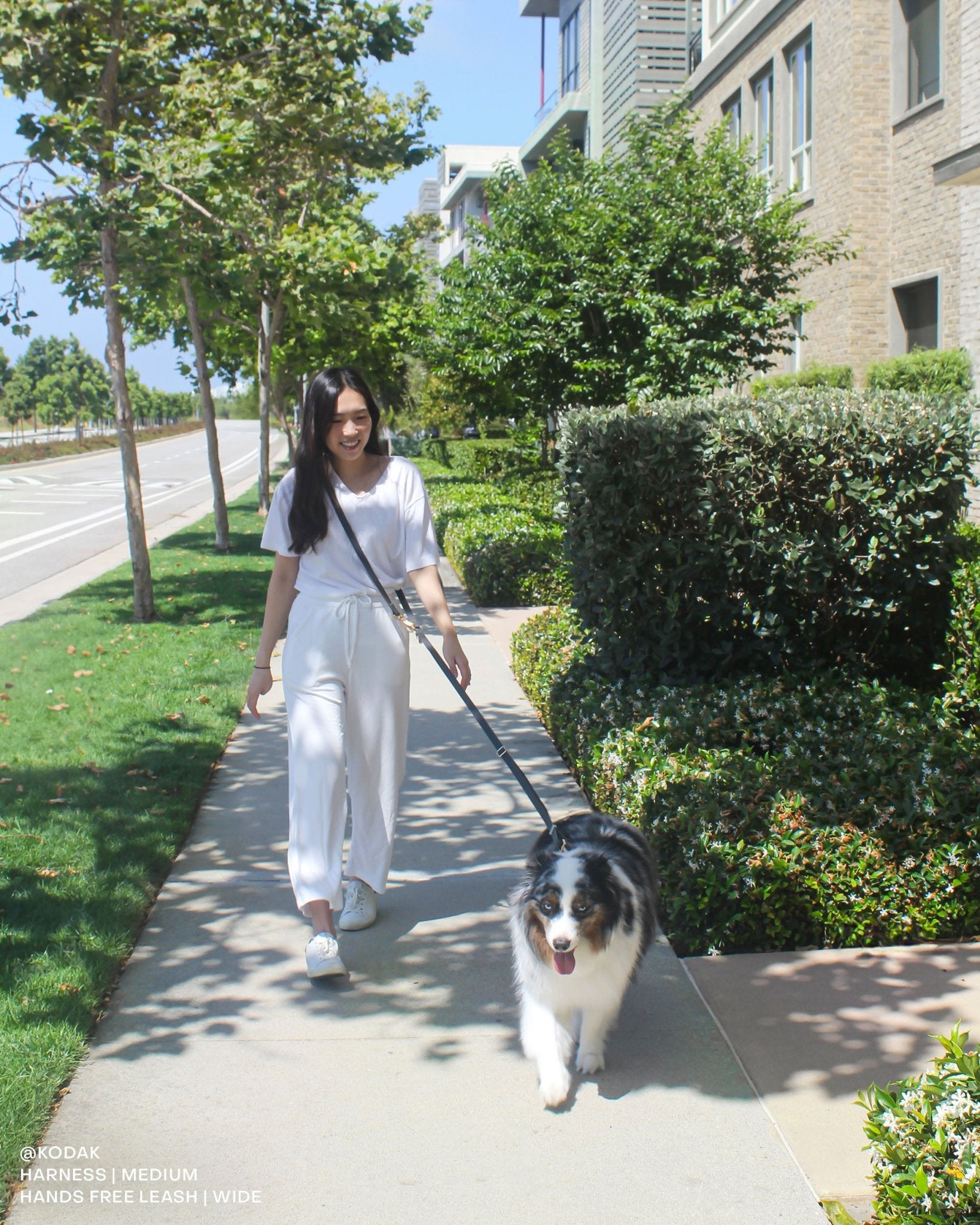 Best Sellers Leash Extension &amp; Treat Pouch Bundle Wide - SUNNY TAILS