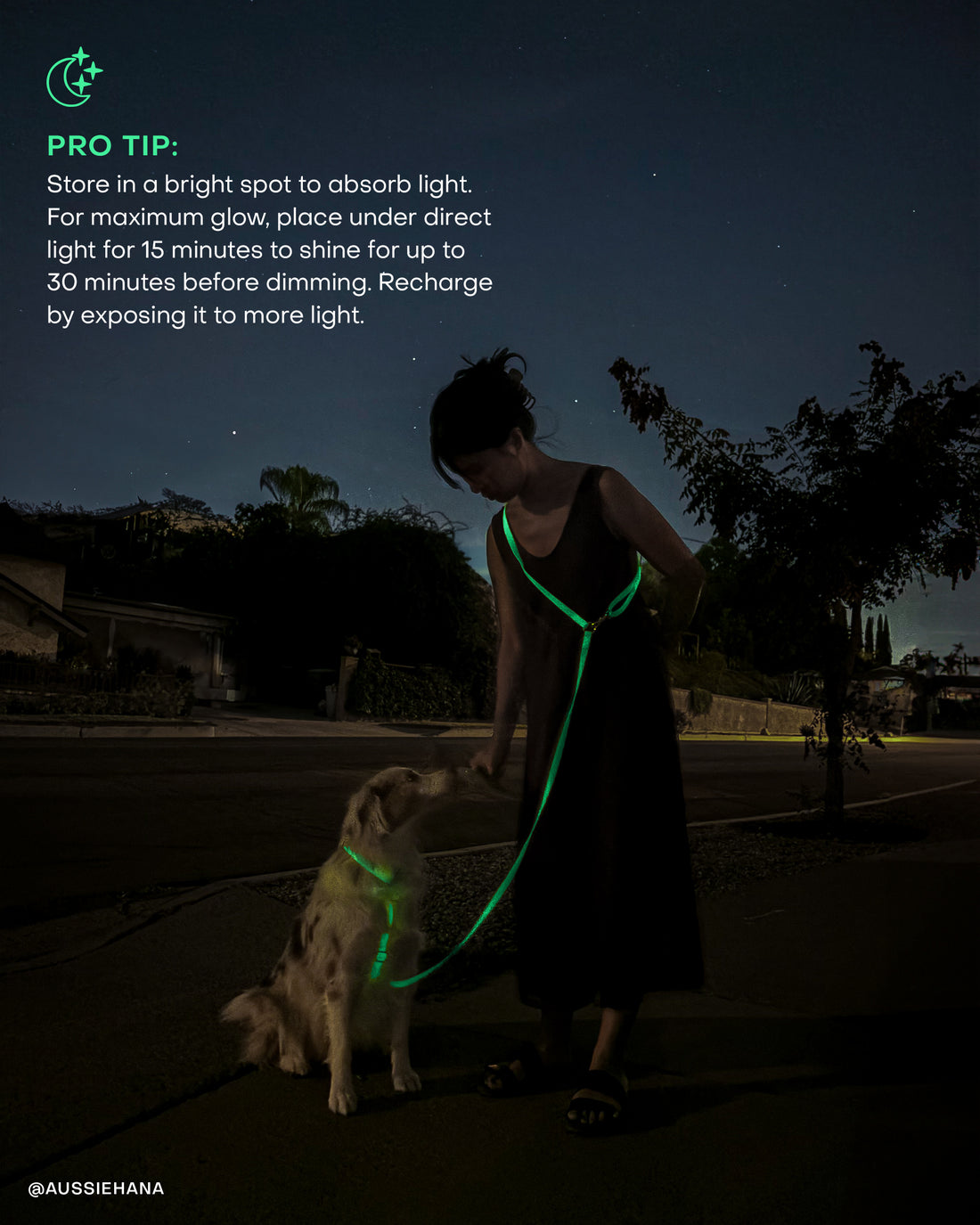 Lunar Glow Convertible Hands Free Cloud Dog Leash | Multifunctional, Glow in the Dark, and Lightweight Dog Leash | Shop Sunny Tails