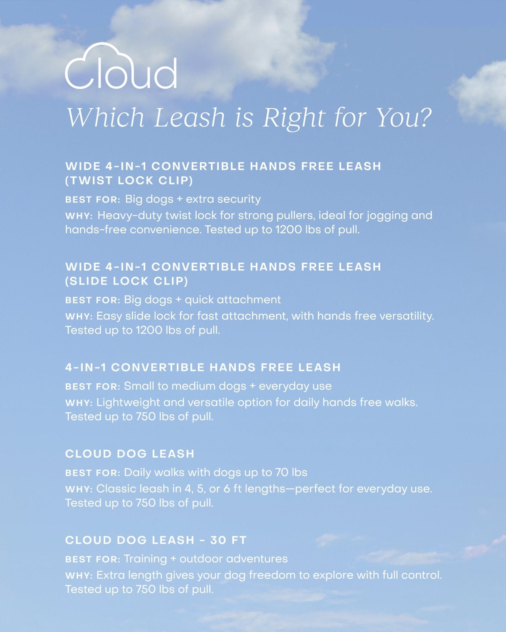 Treat Pouch &amp; 4 - in - 1 Convertible Hands Free Cloud Dog Leash - SUNNY TAILS