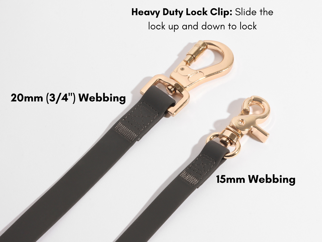 Dog leash clasp sales types
