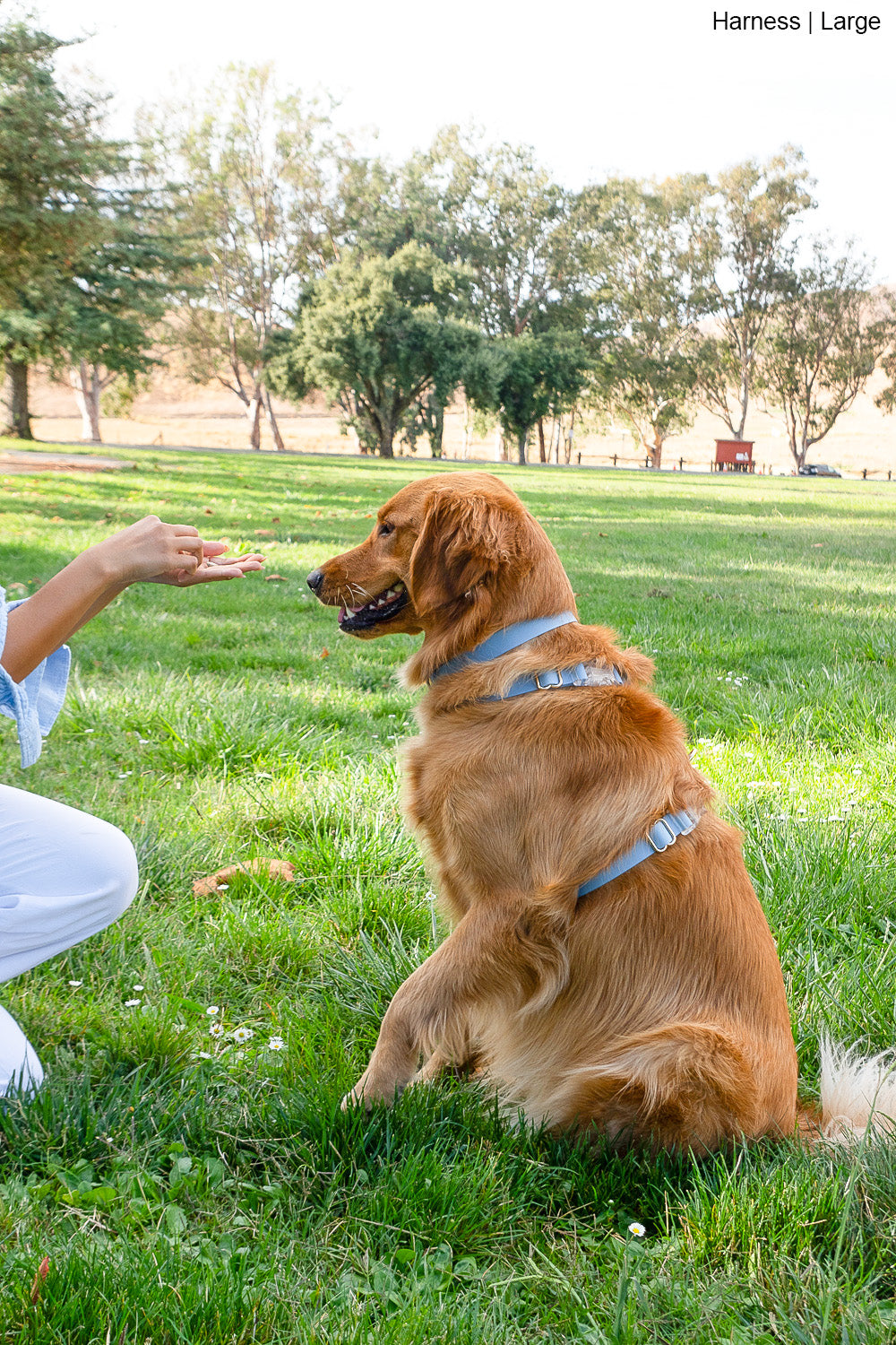 Malibu Blue Cloud Lite Dog Harness | Waterproof Dog Harness | No Pull Front Attachment | Available in 3 Sizes