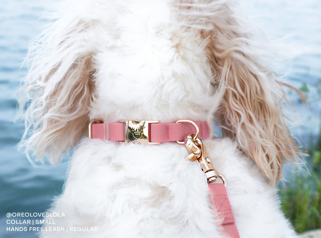 Perfect Pink Waterproof Dog Collar | Light Pink Quick Release Collar | Available in 3 Sizes | Durable Dog Collars | Shop Sunny Tails