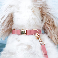 Perfect Pink Waterproof Dog Collar | Light Pink Quick Release Collar | Available in 3 Sizes | Durable Dog Collars | Shop Sunny Tails