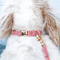 Perfect Pink Cloud Dog Collar Bundle