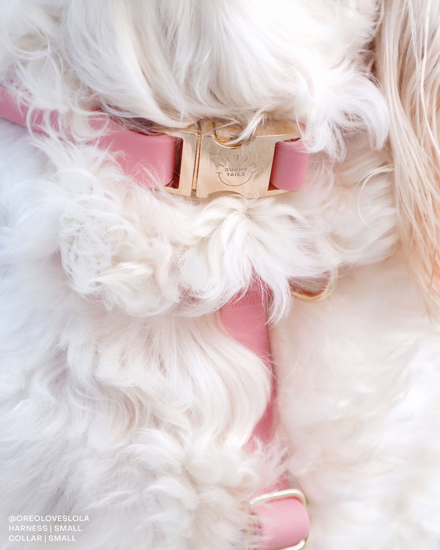 Perfect Pink Waterproof Dog Collar | Light Pink Quick Release Collar | Available in 3 Sizes | Durable Dog Collars | Shop Sunny Tails