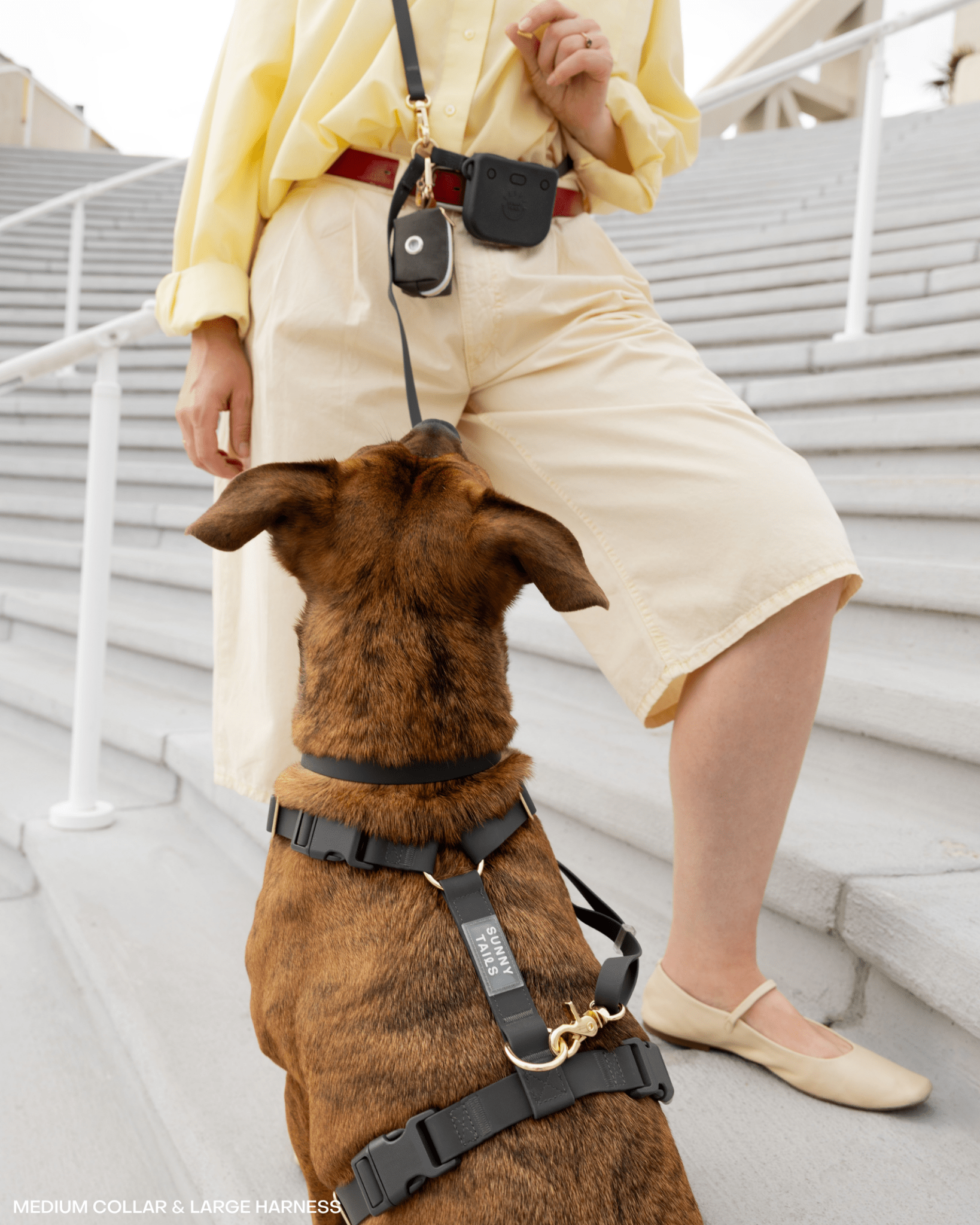 5 - Piece Hands Free Set – Leash, Harness, Collar, Treat Pouch &amp; Waste Bag Holder - SUNNY TAILS