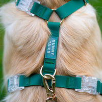 Meadow Green Cloud Lite Dog Harness | Waterproof Dog Harness | No Pull Front Attachment | Available in 3 Sizes