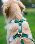 Meadow Green Cloud Lite Dog Harness | Waterproof Dog Harness | No Pull Front Attachment | Available in 3 Sizes
