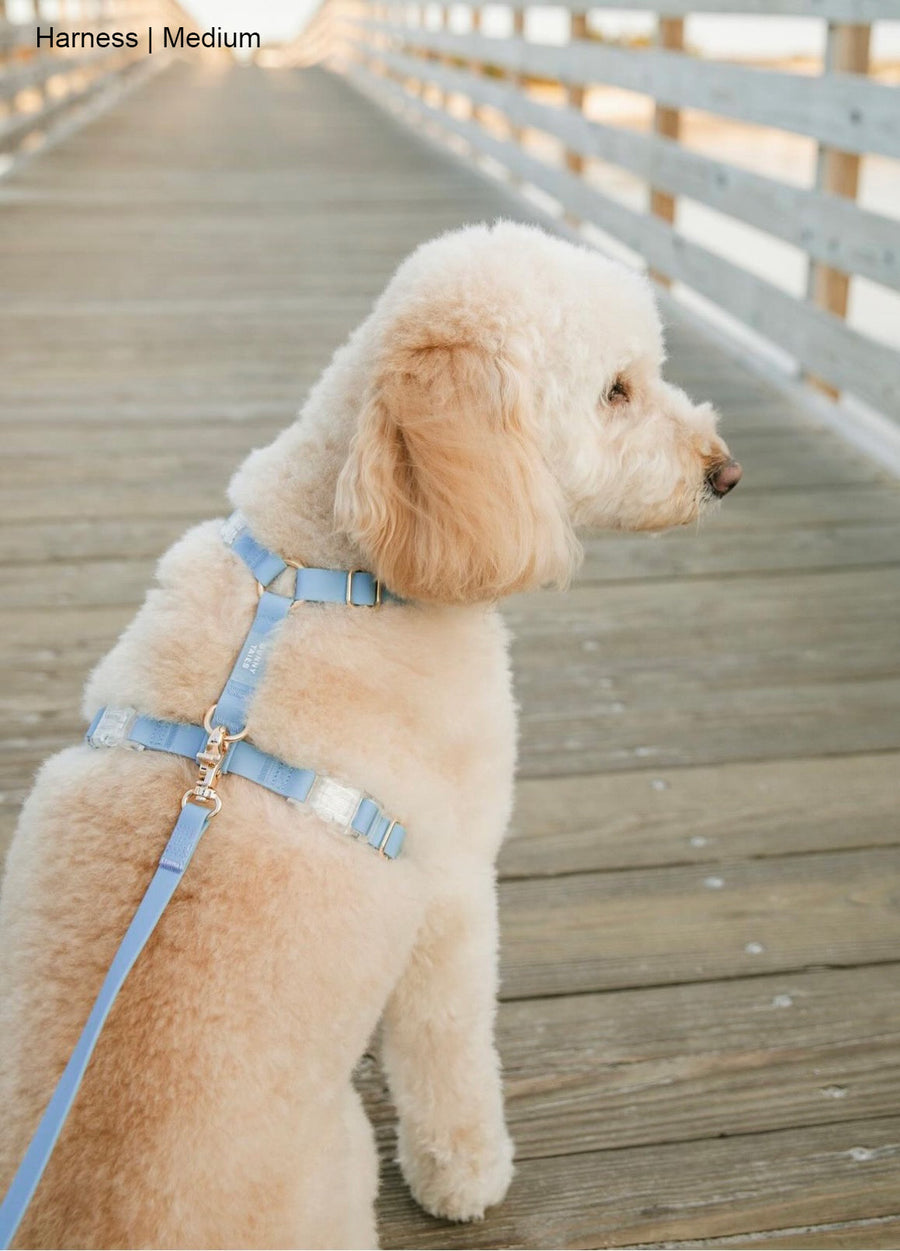 Malibu Blue Cloud Lite Dog Harness Bundle