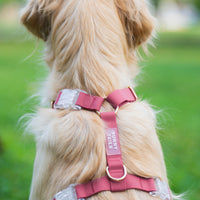 Mulberry Burgundy Cloud Lite Dog Harness | Waterproof Dog Harness | No Pull Front Attachment | Available in 3 Sizes