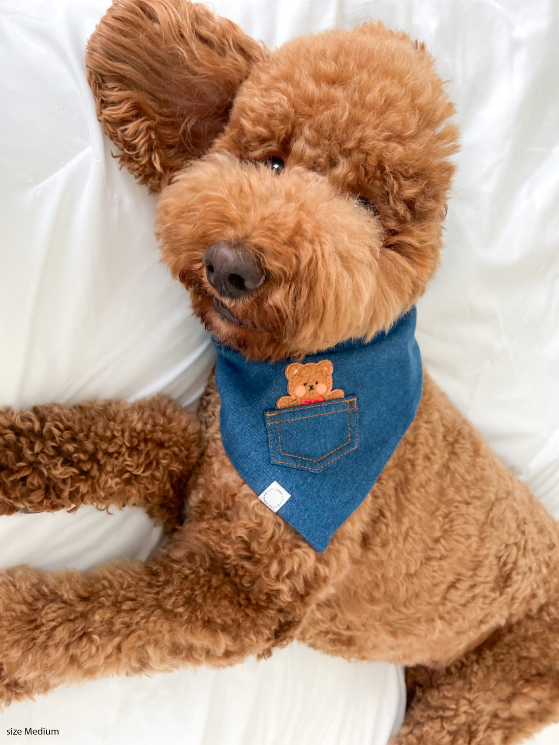 Valentine's Pocket Teddy Denim Dog Bandana - Beige