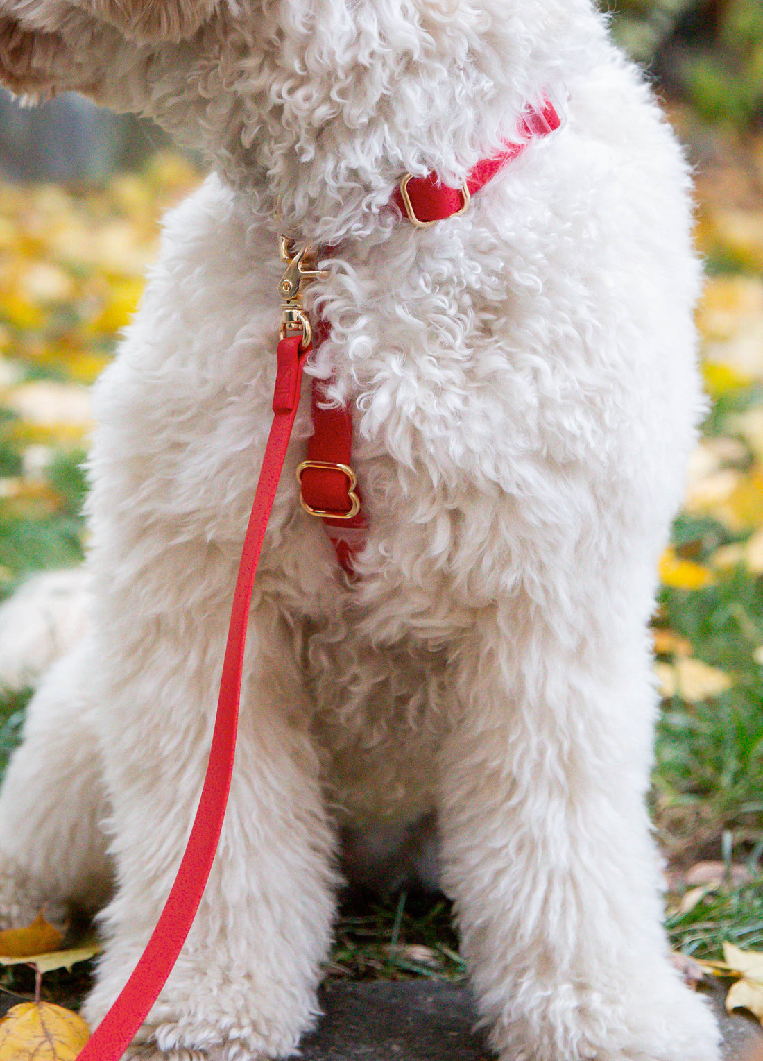 Cherry Red 4-in-1 Wide Convertible Hands Free Cloud Dog Leash 3/4"