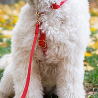 Cherry Red 4-in-1 Wide Convertible Hands Free Cloud Dog Leash 3/4"