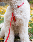 Cherry Red Waterproof Cloud Dog Leash