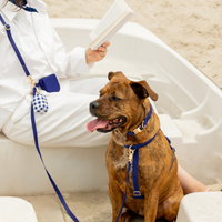 Signature Navy Waterproof Dog Collar | Dark Blue Quick Release Collar | Available in 3 Sizes | Durable Dog Collars | Sunny Tails