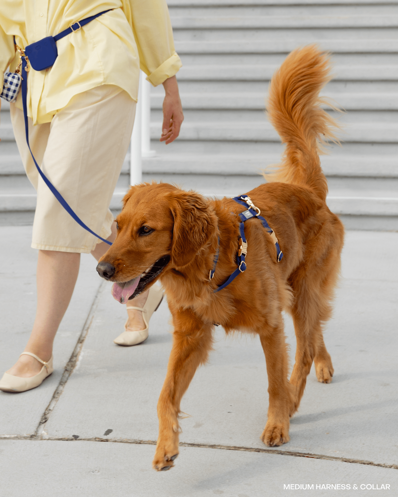 Cloud Convertible Leash Extension Bundle Wide - SUNNY TAILS