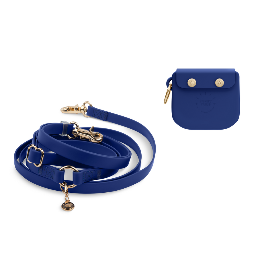 Treat Pouch & 4-in-1 Convertible Hands Free Cloud Dog Leash