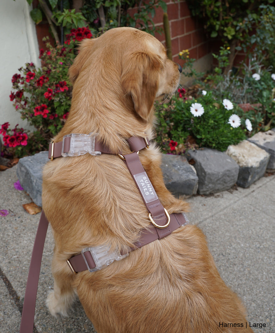 Espresso Brown Cloud Lite Dog Harness | Waterproof Dog Harness | No Pull Front Attachment | Available in 3 Sizes