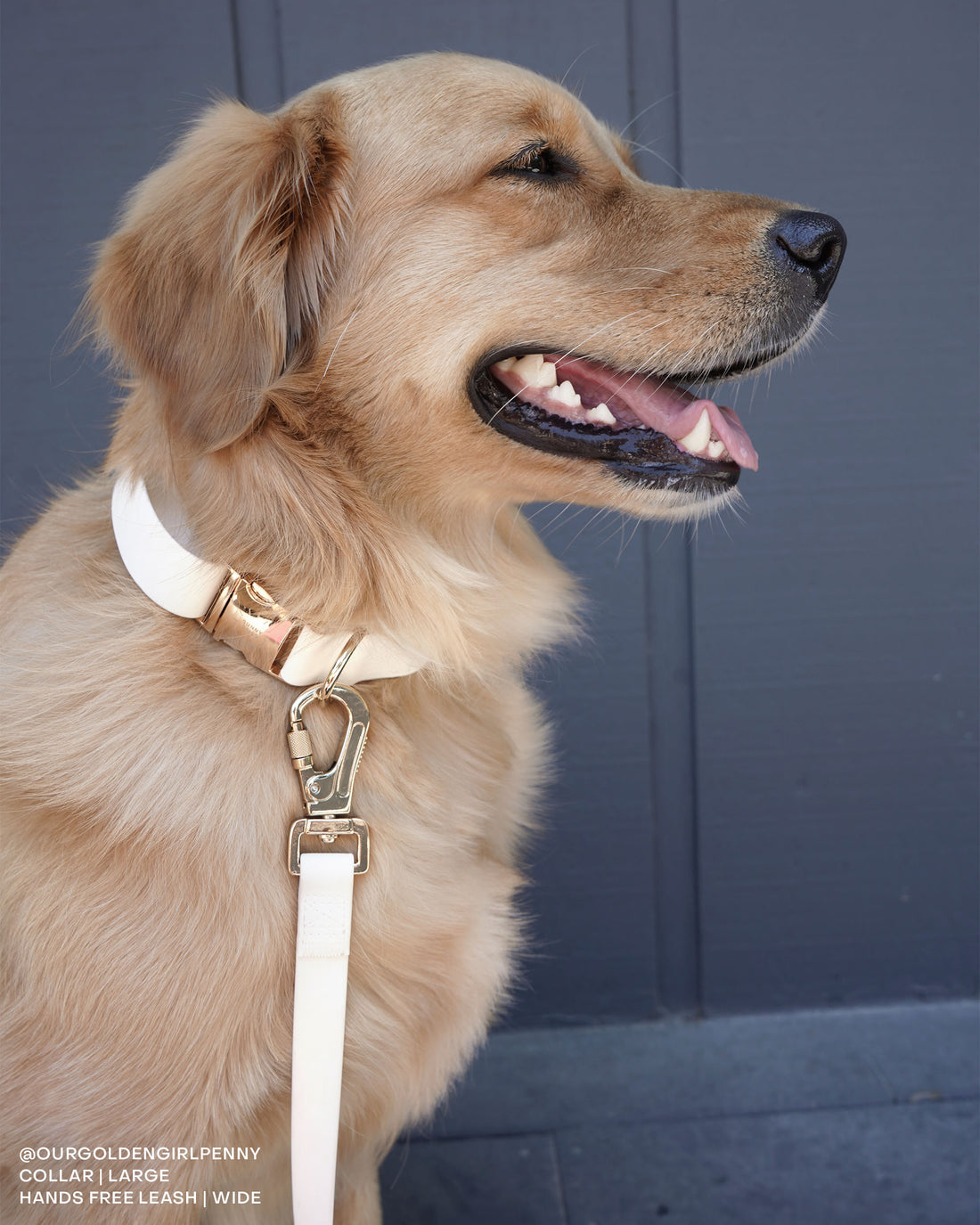 Cloud White Dog Collar | Hands Free Dog Leash White | Twist Lock Clip