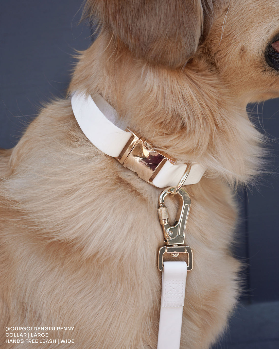 Cloud White Dog Collar | Hands Free Dog Leash White | Twist Lock Clip