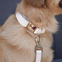 Cloud White Dog Collar | Hands Free Dog Leash White | Twist Lock Clip