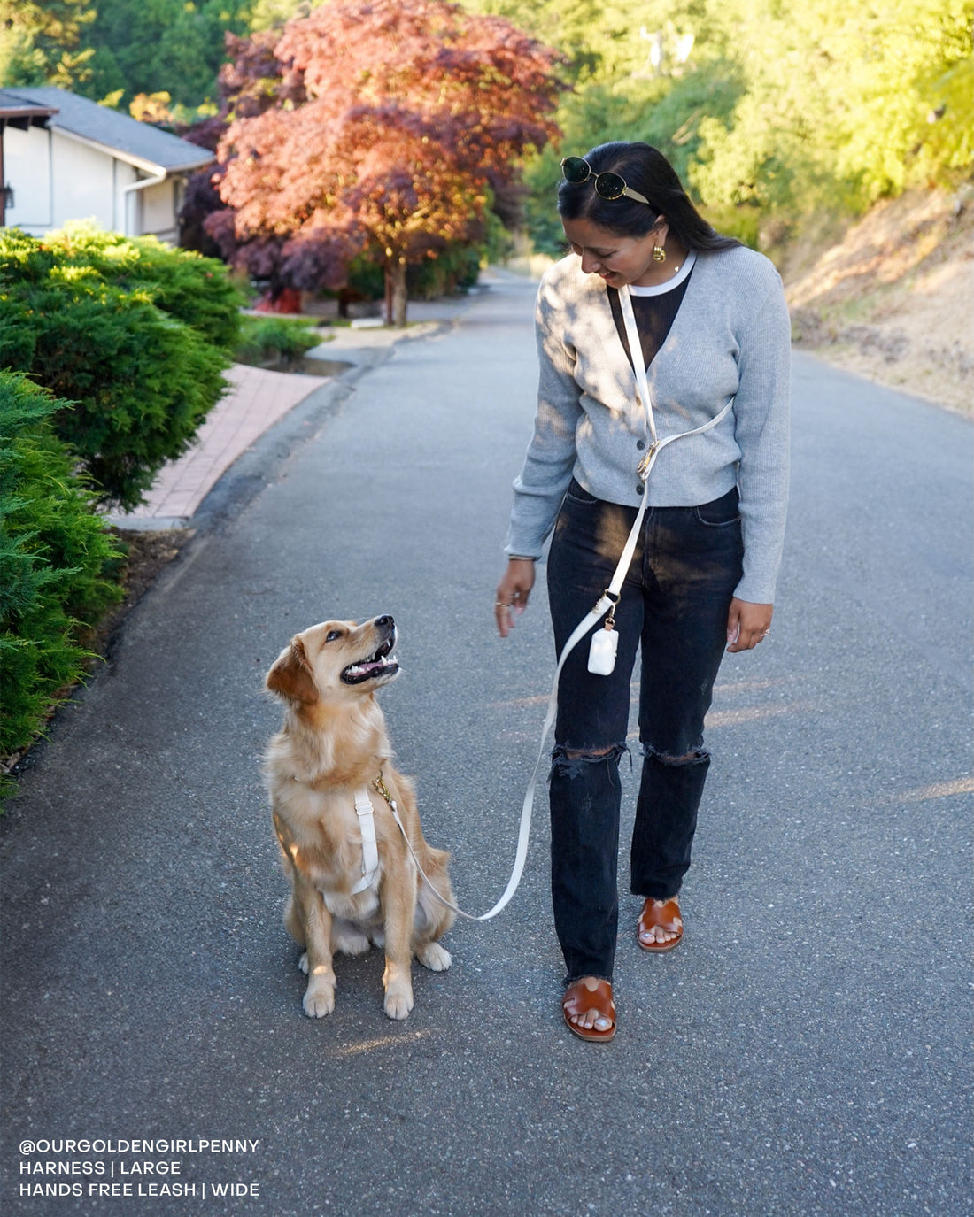 Cloud White Convertible Hands Free Cloud Dog Leash | Multifunctional, Waterproof, and Lightweight Dog Leash | Shop Sunny Tails