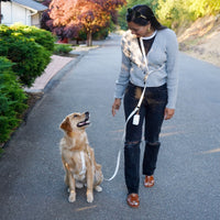 Cloud White Convertible Hands Free Cloud Dog Leash | Multifunctional, Waterproof, and Lightweight Dog Leash | Shop Sunny Tails