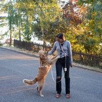 Cloud White Dog Harness | Hands Free Dog Leash White | Twist Lock Clip