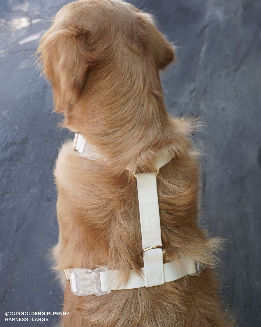 Cloud White Cloud Lite Dog Harness | Waterproof Dog Harness | No Pull Front Attachment | Available in 4 Sizes