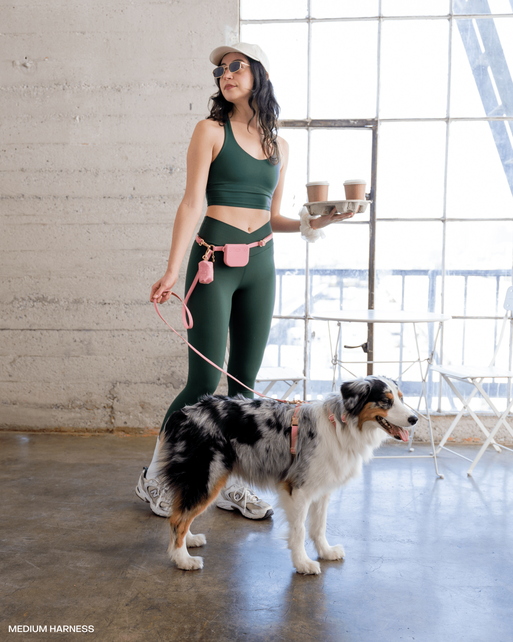 5 - Piece Hands Free Set – Leash, Harness, Collar, Treat Pouch & Waste Bag Holder - SUNNY TAILS