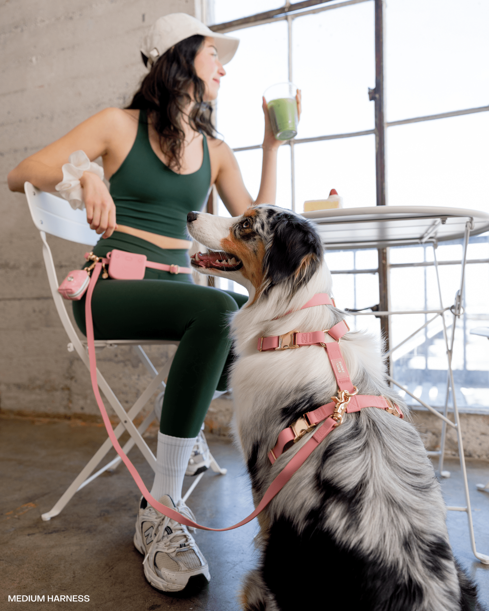 5 - Piece Hands Free Set – Leash, Harness, Collar, Treat Pouch &amp; Waste Bag Holder - SUNNY TAILS