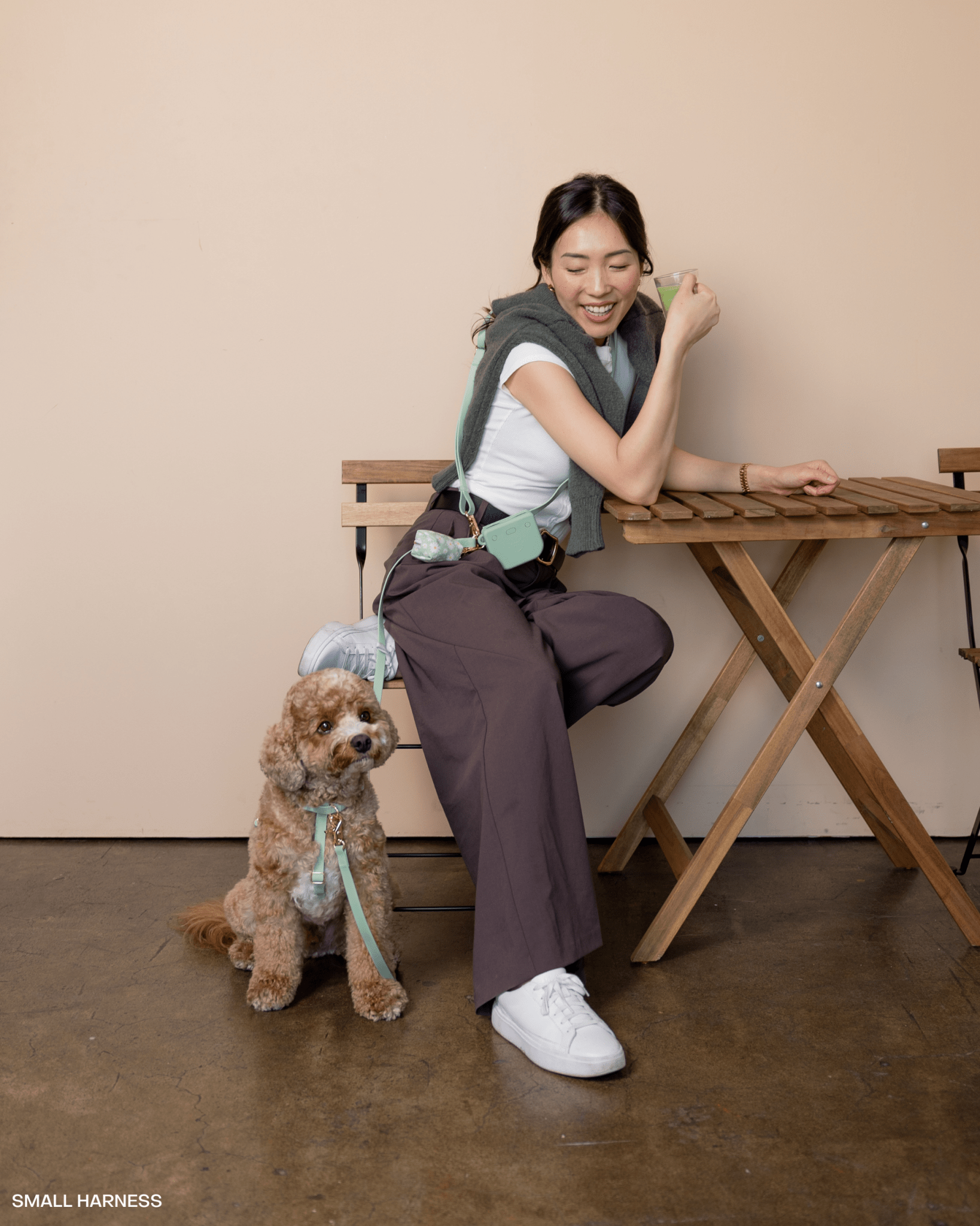 5 - Piece Hands Free Set – Leash, Harness, Collar, Treat Pouch & Waste Bag Holder - SUNNY TAILS