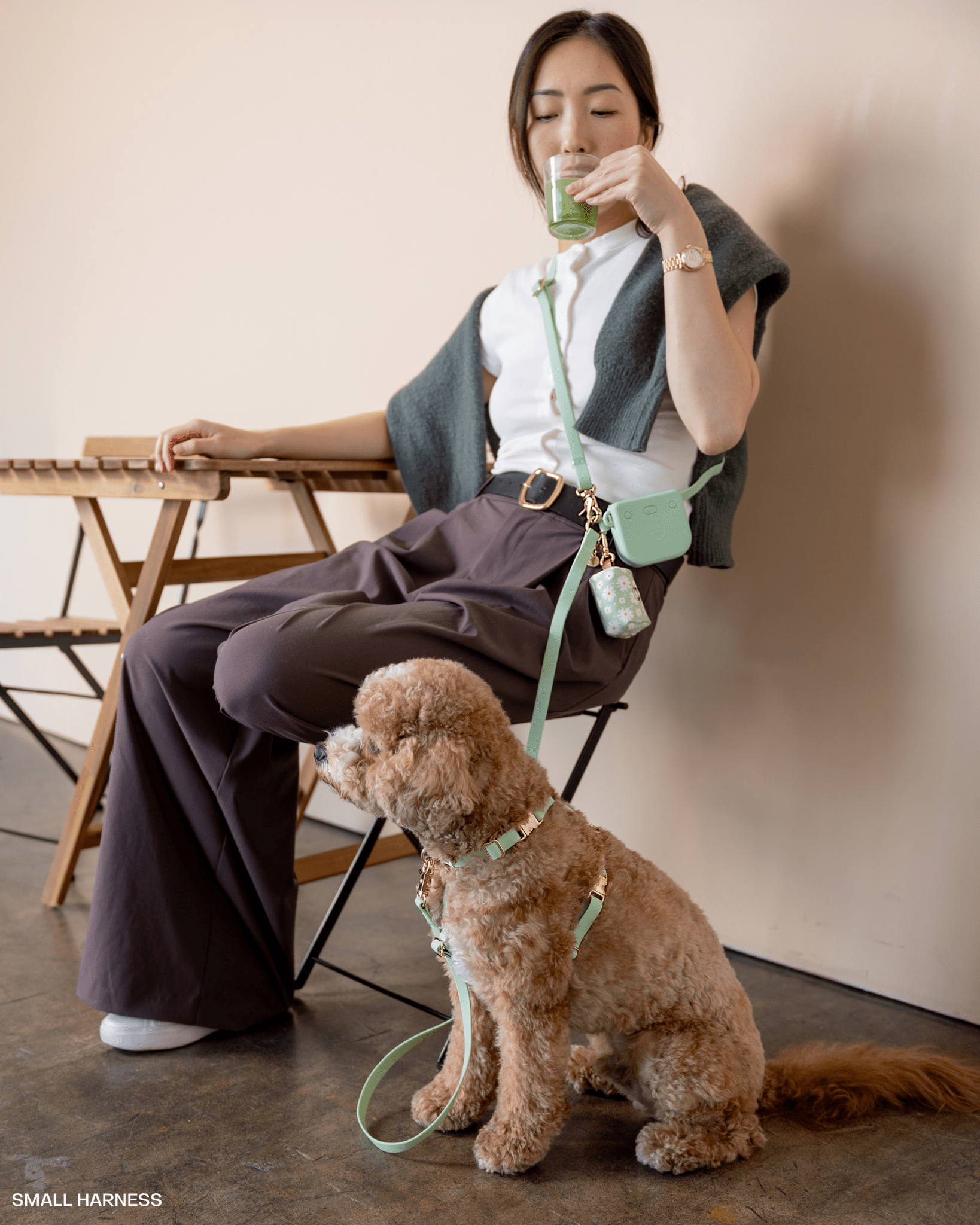 Treat Pouch &amp; 4 - in - 1 Convertible Hands Free Cloud Dog Leash - SUNNY TAILS