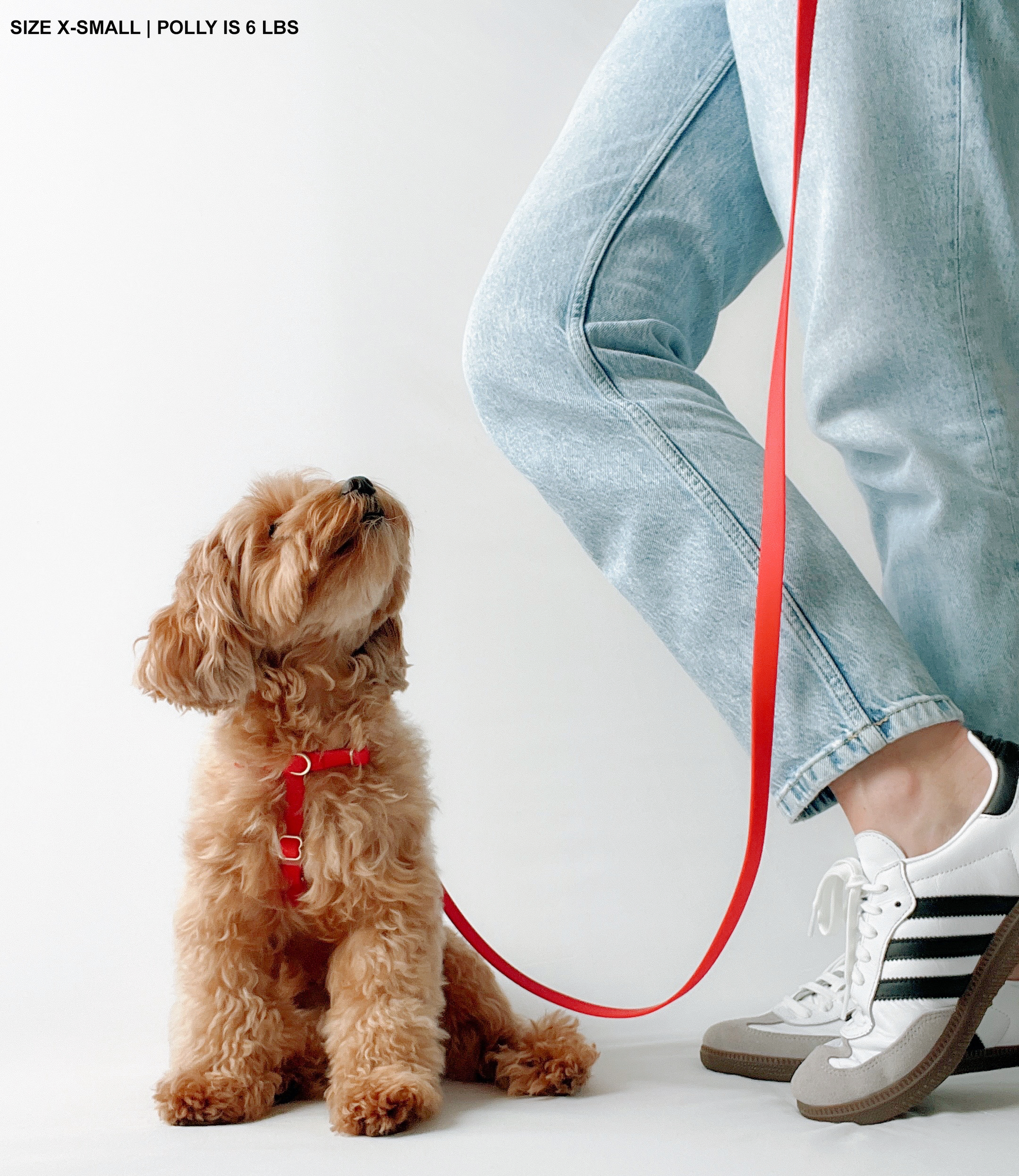 Cherry Red Cloud Lite Dog Harness