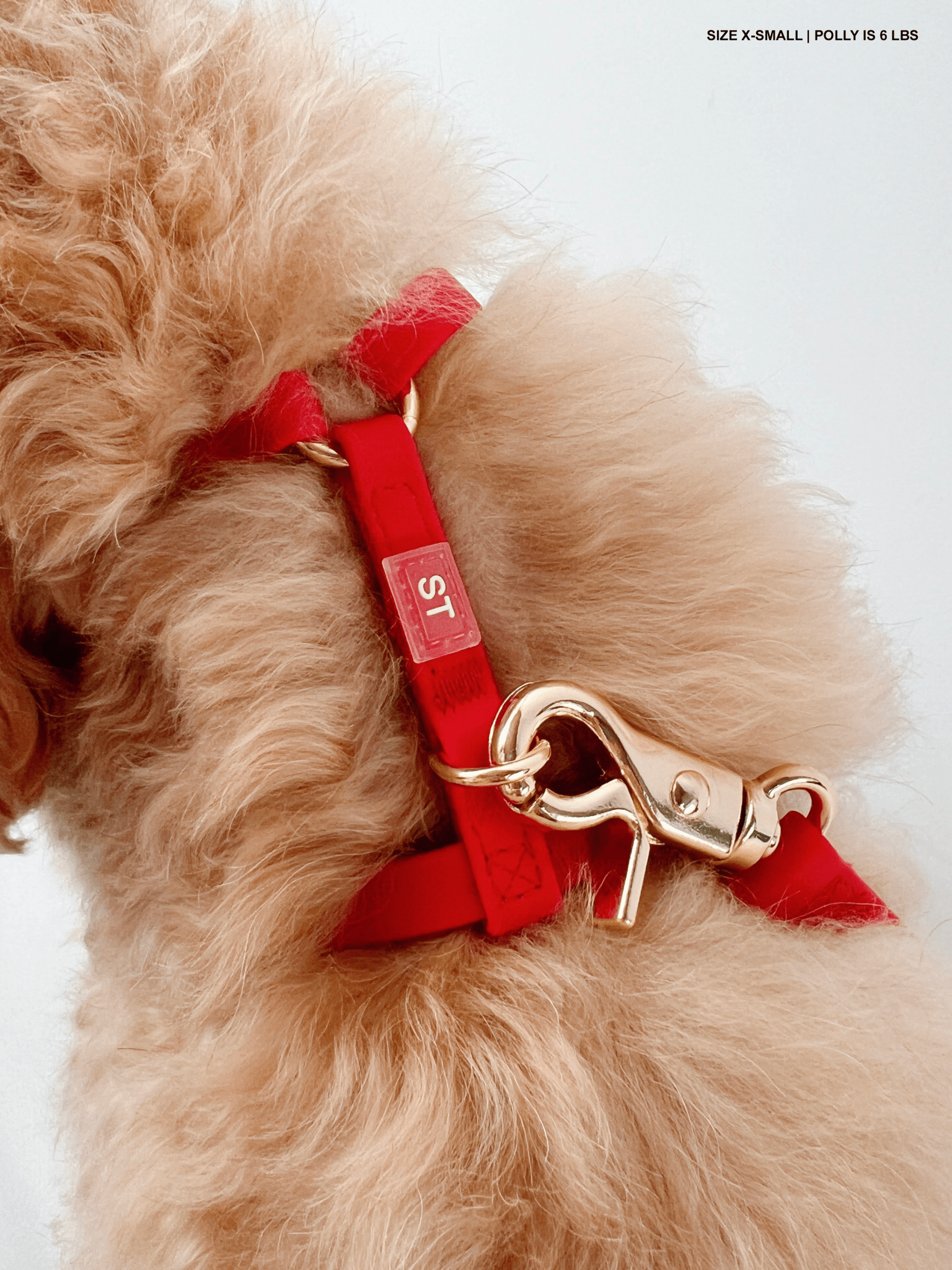 Doggy Parton Harness & Leash Set - Red Gingham, Bow & Charm, Adjustable Fit