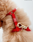 Cherry Red Cloud Lite Dog Harness