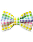 Rainbow Gingham Dog Bow Tie  | Summer Snap Over Collar Bow Tie | Shop Sunny Tails