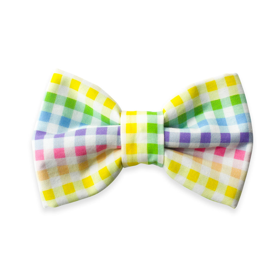 Rainbow Gingham Dog Bow Tie  | Summer Snap Over Collar Bow Tie | Shop Sunny Tails
