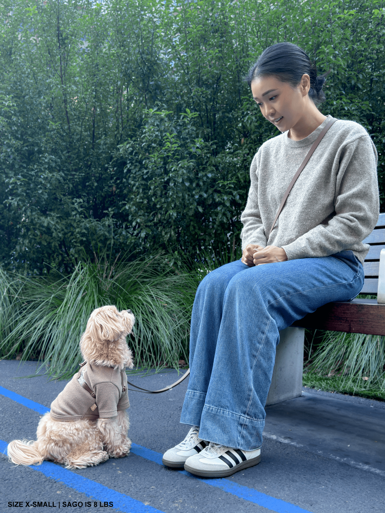 Cloud Lite Dog Harness Bundle - SUNNY TAILS