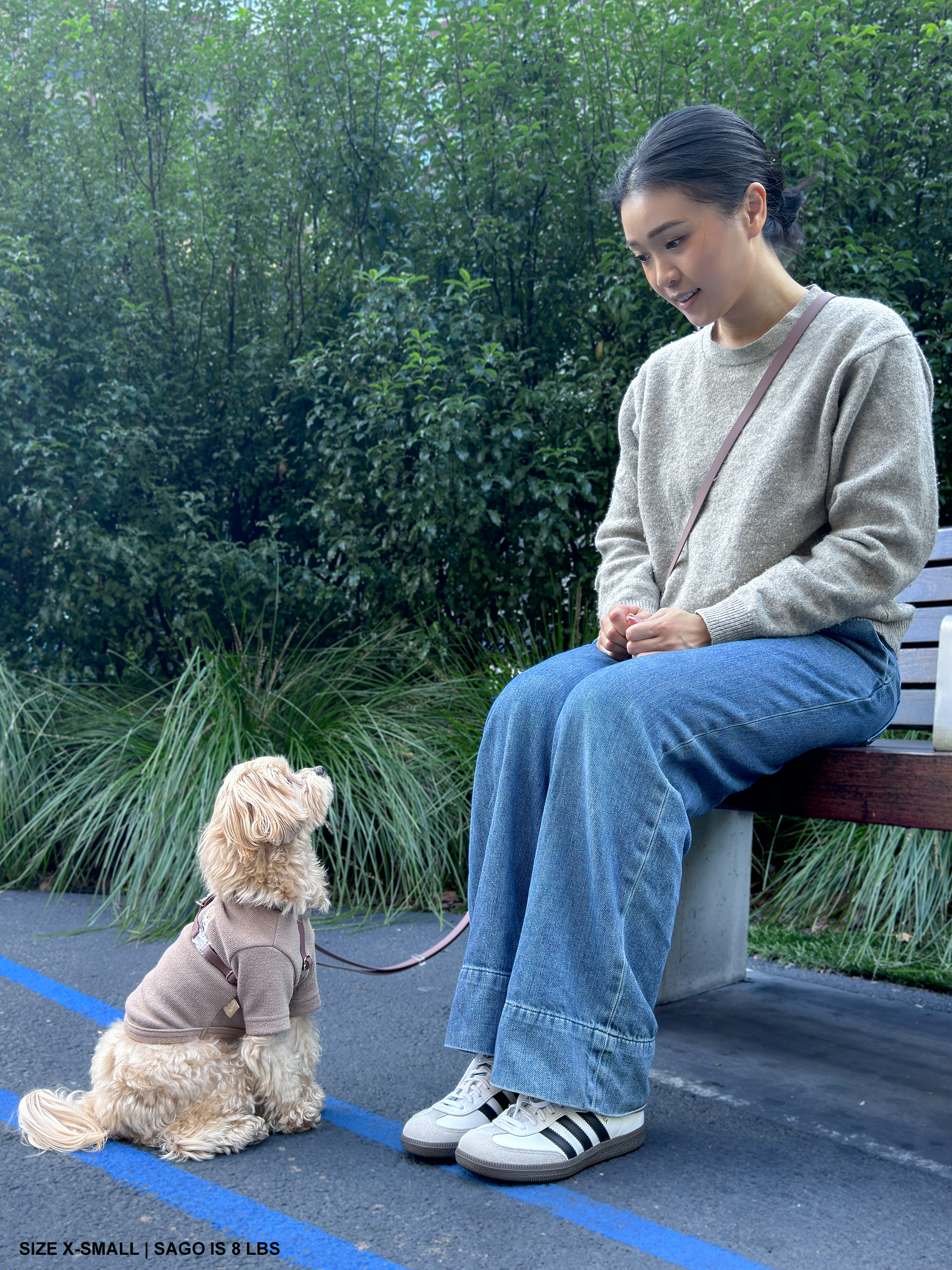 Cloud Lite Dog Harness Bundle