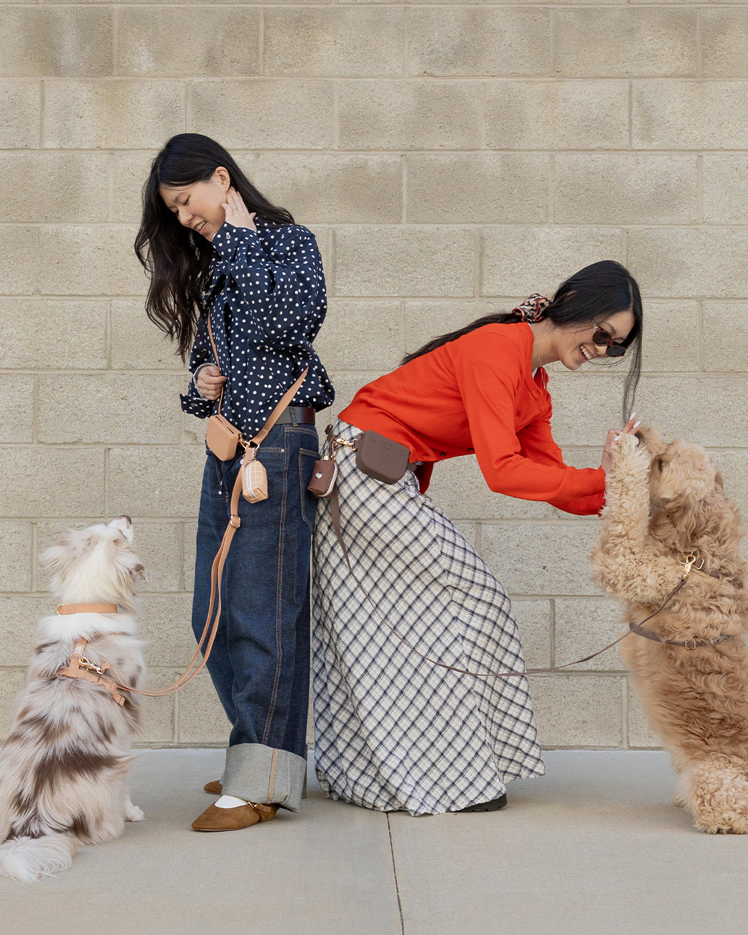 Espresso Brown Snap Dog Treat Pouch