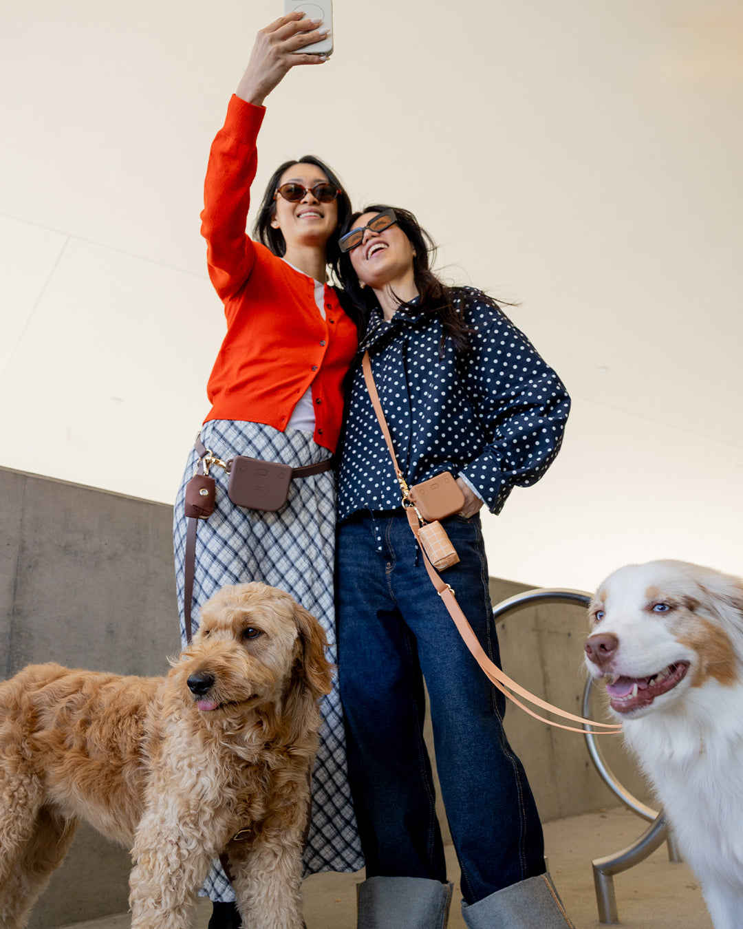 Espresso Brown Convertible Hands Free Cloud Dog Leash